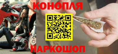 мдпв Кингисепп