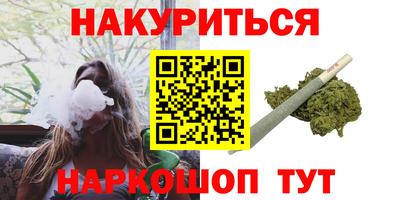 мдпв Кингисепп
