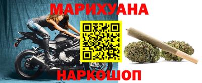 мдпв Кингисепп