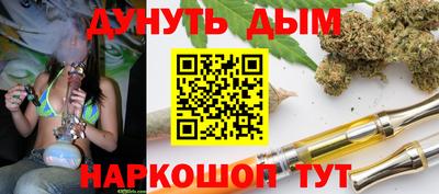 мдпв Кингисепп