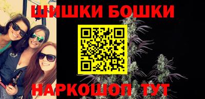 мдпв Кингисепп