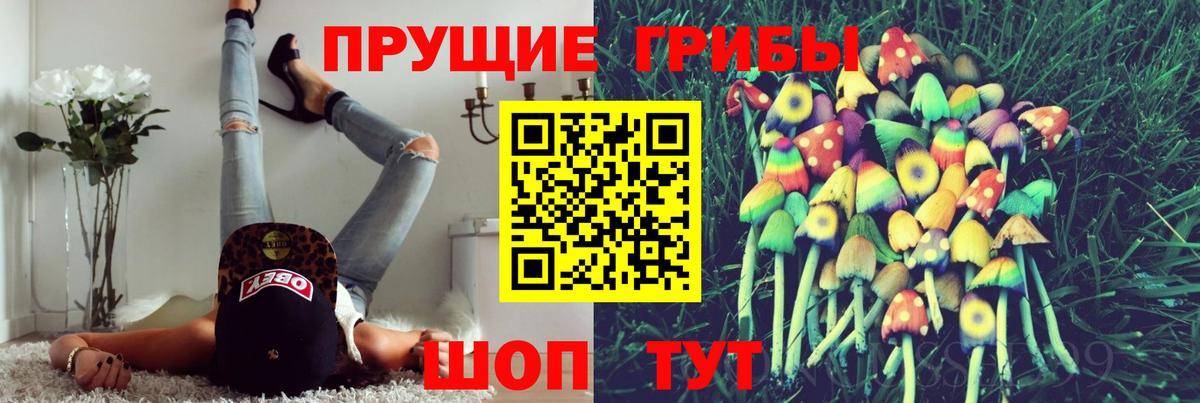 Биробиджан  Псилоцибиновые грибы ЛСД  Вход с VPN  Галлюциногенные грибы Psilocybine cubensis 